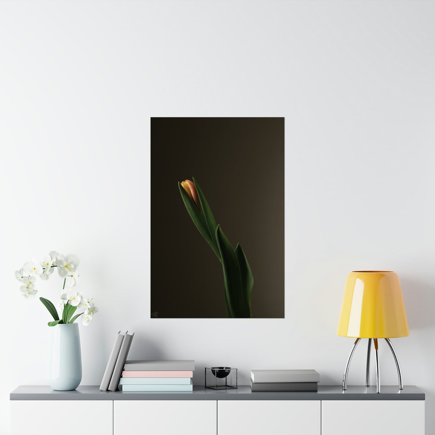 Tulip Bulb Frohmader Photography Poster
