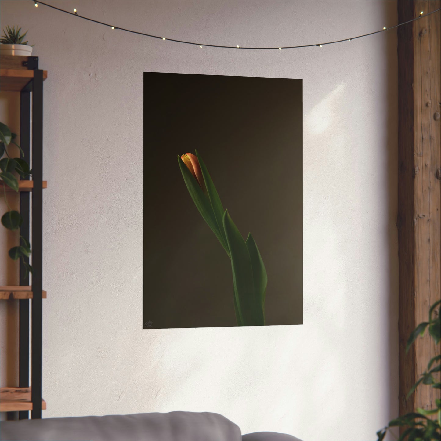 Tulip Bulb Frohmader Photography Poster