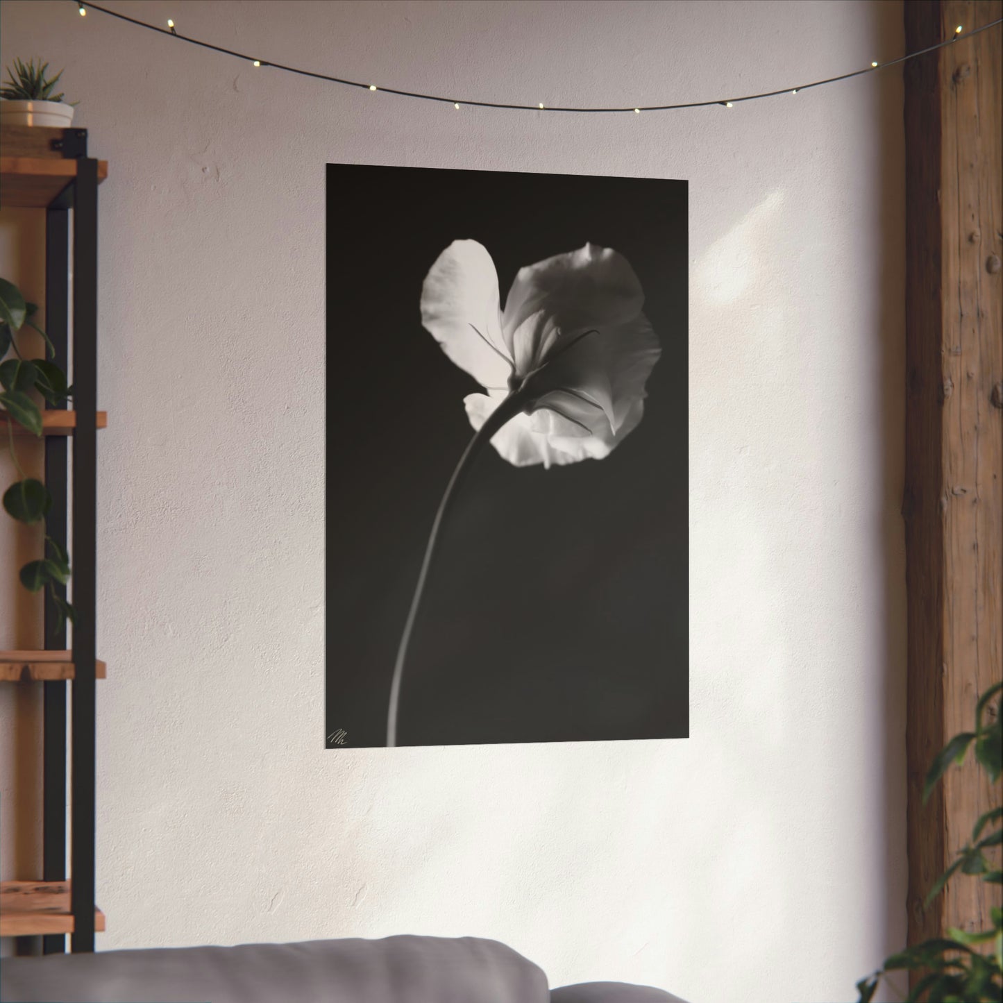 Black White Flower Frohmader Photography Poster