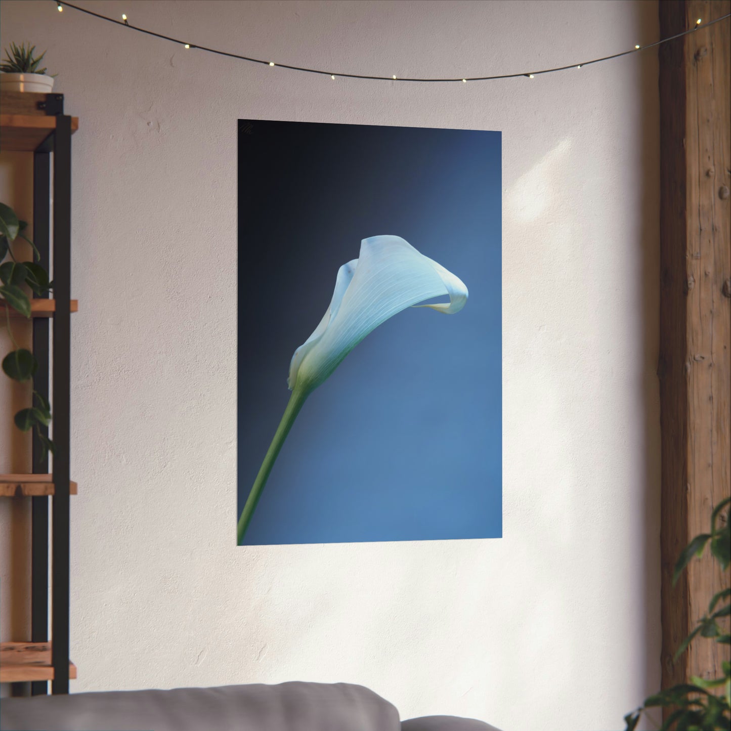 White Calla Lily Frohmader Photography Poster