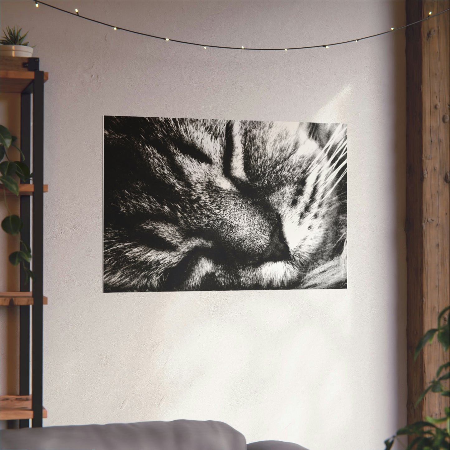 Sleeping Cat Closeup Frohmader Photography Poster