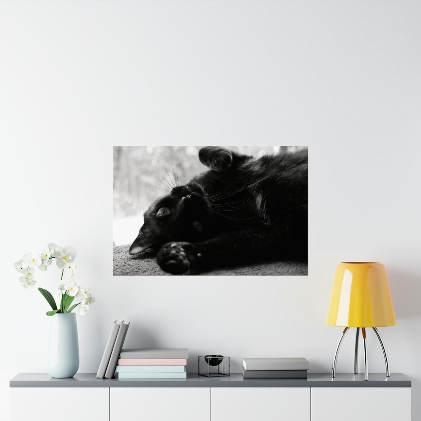 Black Cat Frohmader Photography Poster