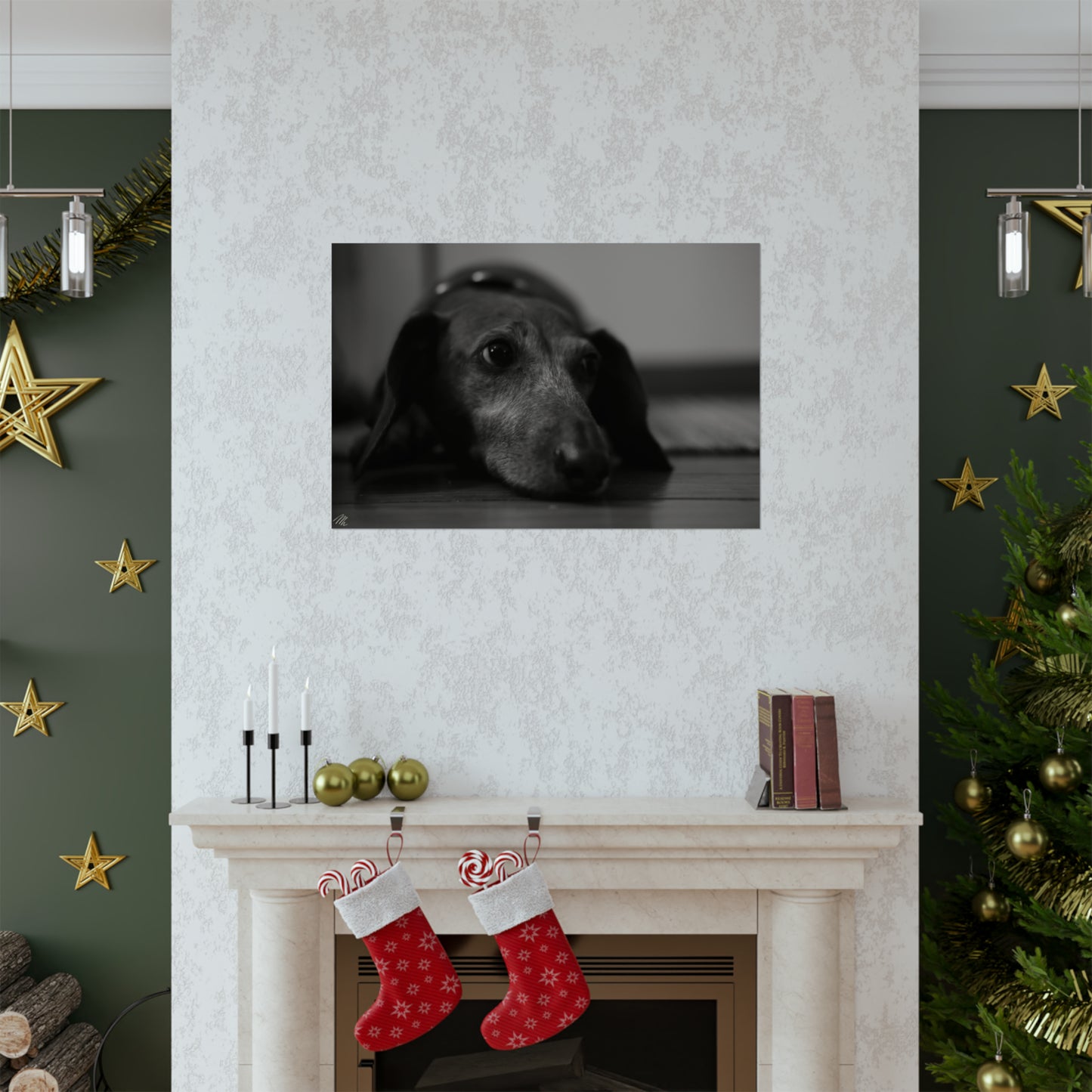 Black/White Dachshund Frohmader Photography Poster