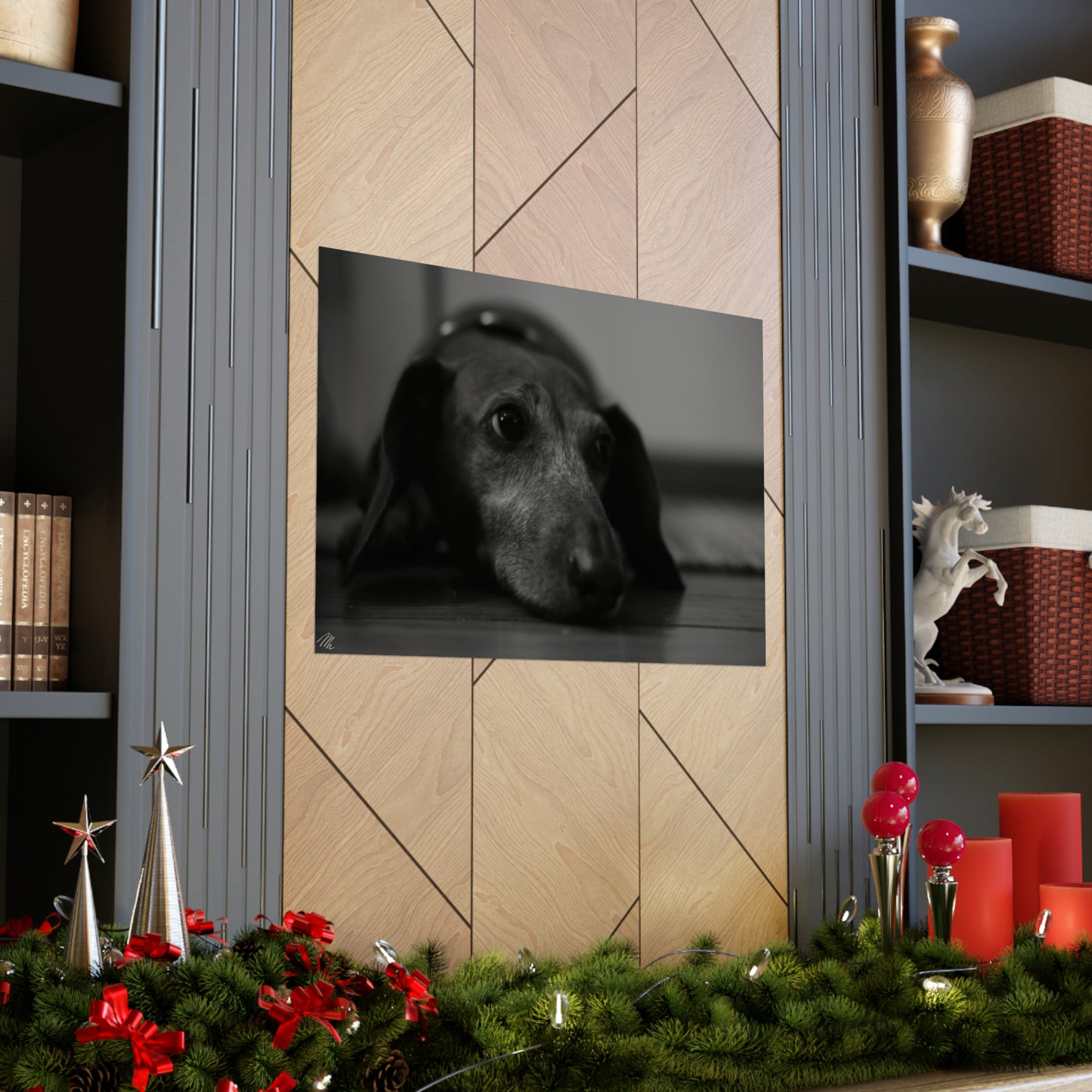 Black/White Dachshund Frohmader Photography Poster