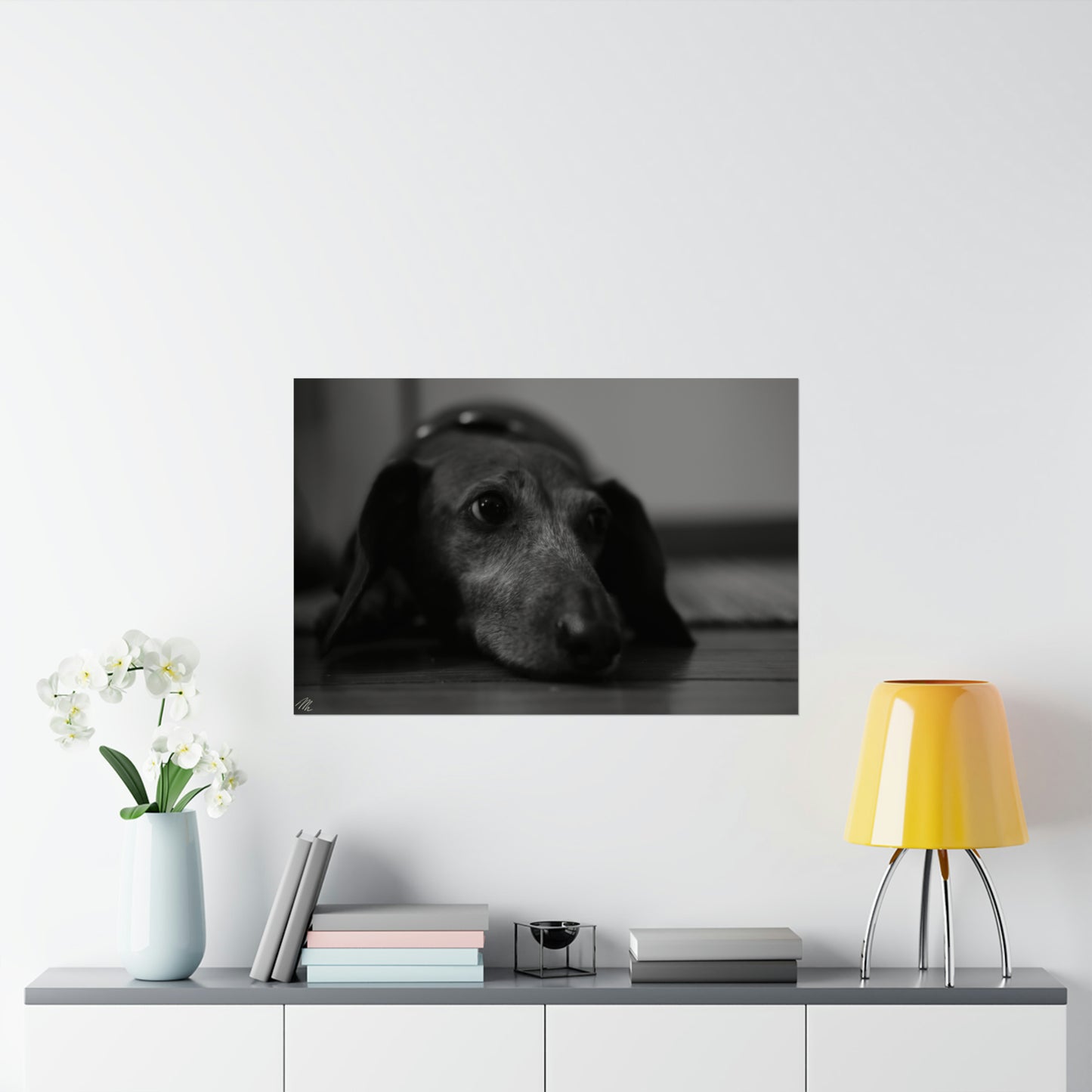 Black/White Dachshund Frohmader Photography Poster