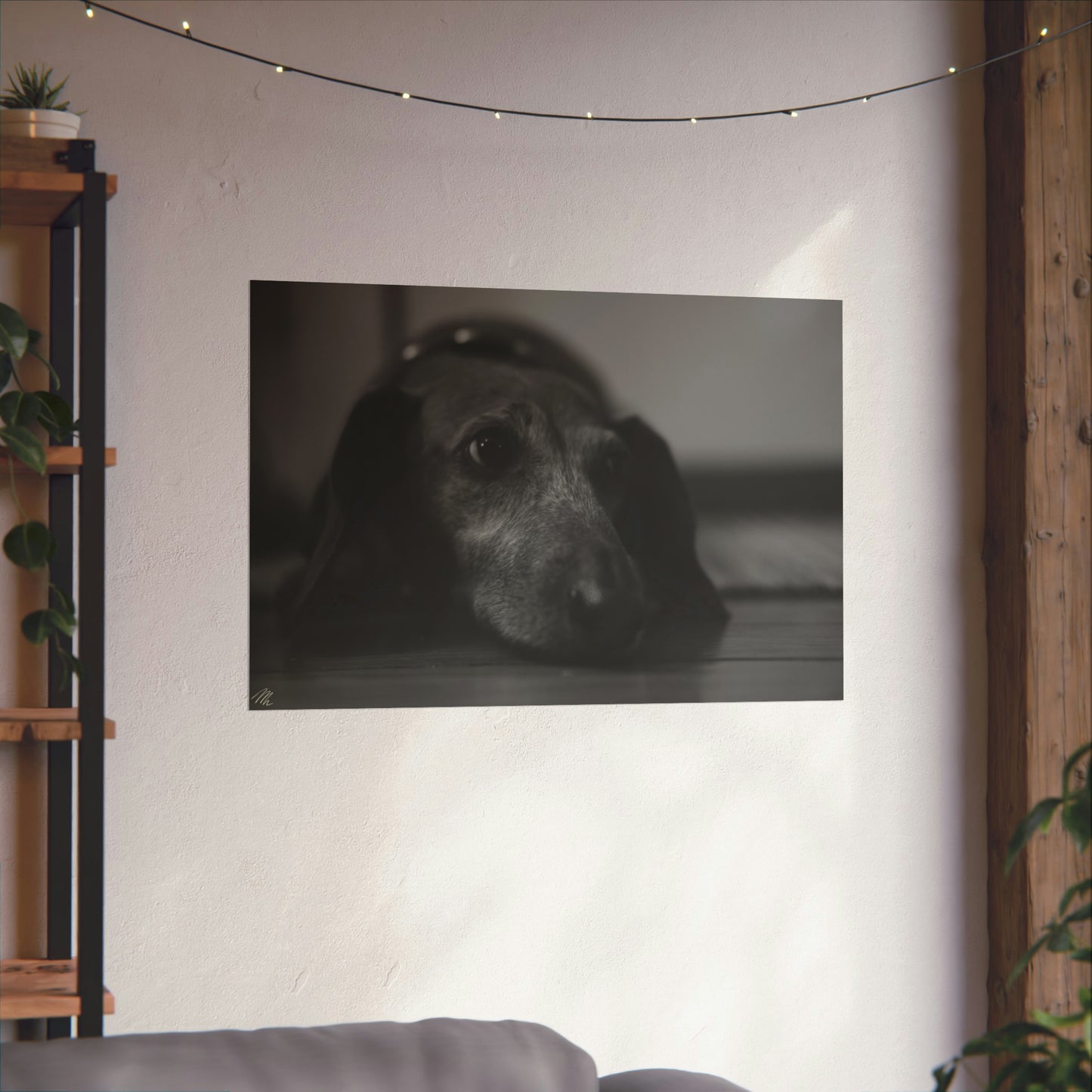 Black/White Dachshund Frohmader Photography Poster